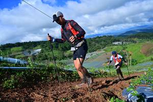 BIB: 
                            <button type="button" onclick="openModal(13379475)" class="btn btn-primary btn-sm float-right btn-popup" data-toggle="modal" data-target=".modal-high-quality">
                        <i class="fas fa-shopping-cart"></i> Add to Cart
                    </button>
                                            <button type="button" onclick="isThisMe(13379475, true)" class="btn btn-success btn-sm float-right btn-popup btn-isme hidden" data-toggle="tooltip" data-placement="bottom" title="นี่คือรูปของคุณใช่ไหม คลิกที่นี่เพื่อเอาเข้าอัลบั้ม">
                        <i class="fas fa-plus"></i> Add to album
                    </button>
                    <button type="button" onclick="isThisMe(13379475, false)" class="btn btn-warning btn-sm float-right btn-popup btn-isnotme hidden">
                        <i class="fas fa-ban"></i> Remove from album
                    </button>